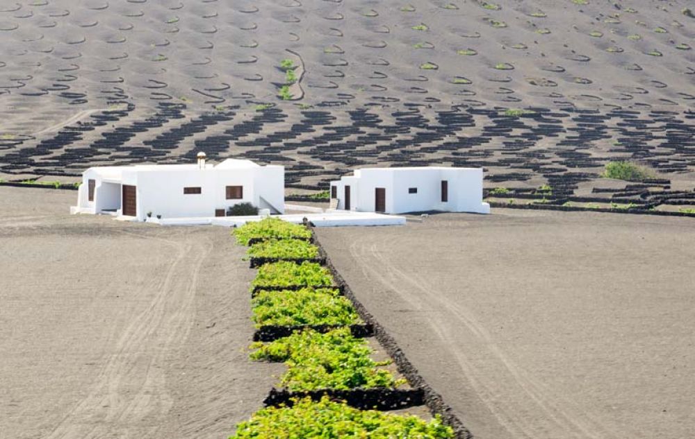 que faire à lanzarote